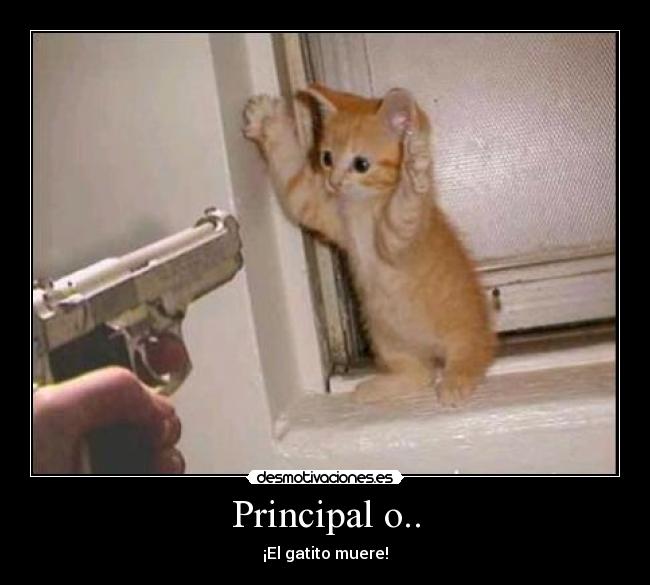 Principal o.. - 