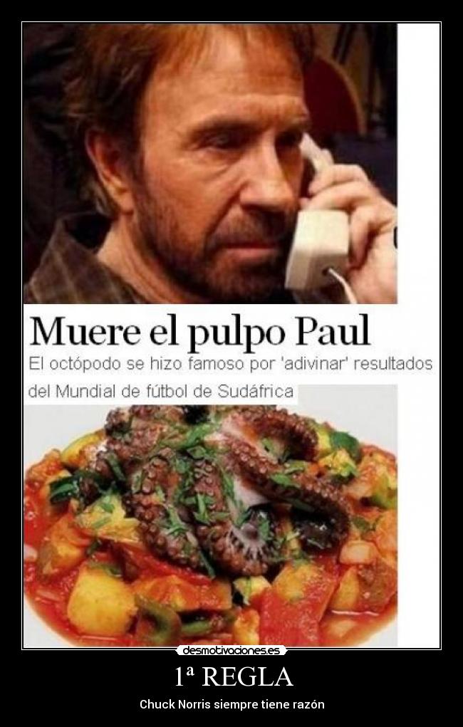 1ª REGLA - Chuck Norris siempre tiene razón