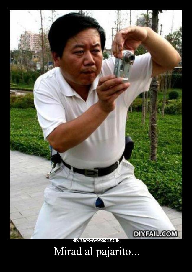 Mirad al pajarito... -