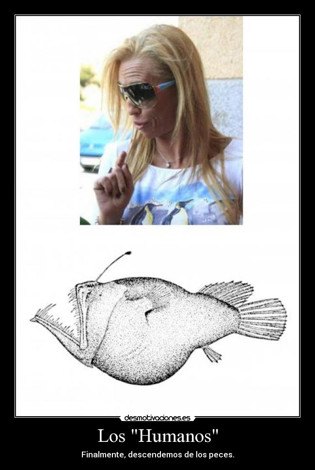 Los Humanos - Finalmente, descendemos de los peces.