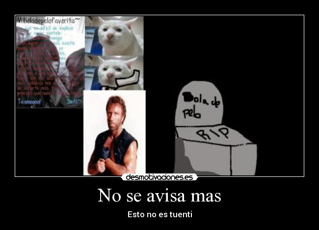 No se avisa mas - Esto no es tuenti
