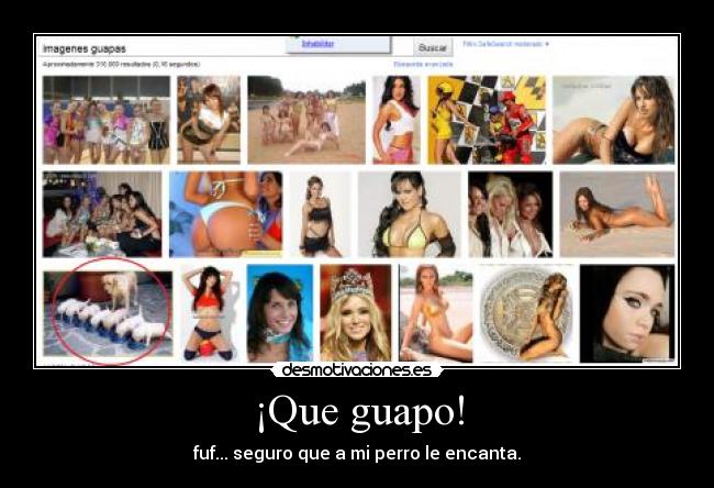 ¡Que guapo! - fuf... seguro que a mi perro le encanta.