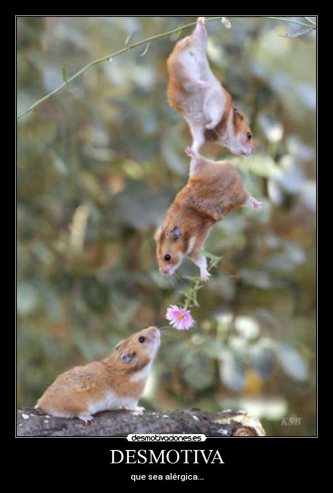DESMOTIVA - que sea alérgica...