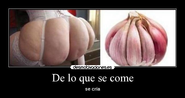 carteles que come cria desmotivaciones