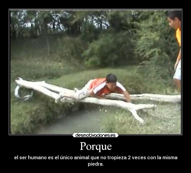 Porque - el ser humano es el único animal que no tropieza 2 veces con la misma piedra.