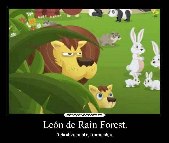 León de Rain Forest. - 
