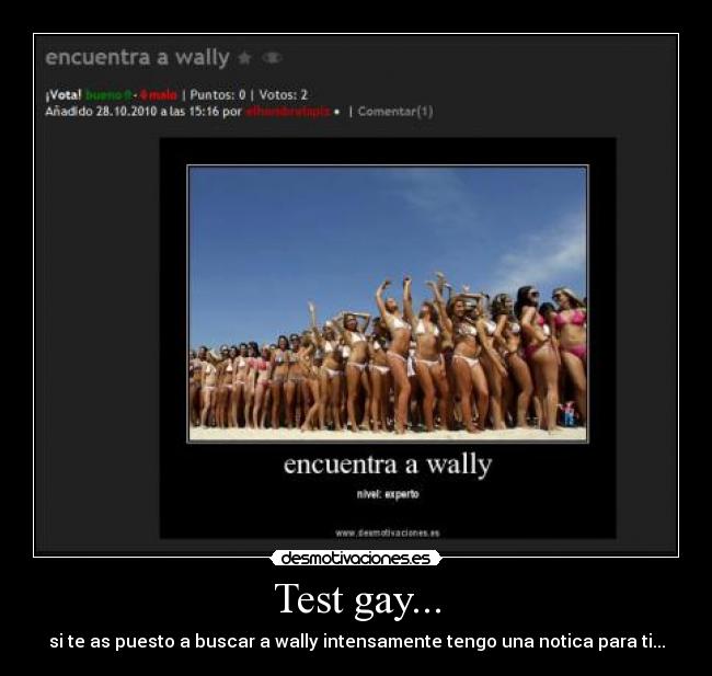 Test gay... -
