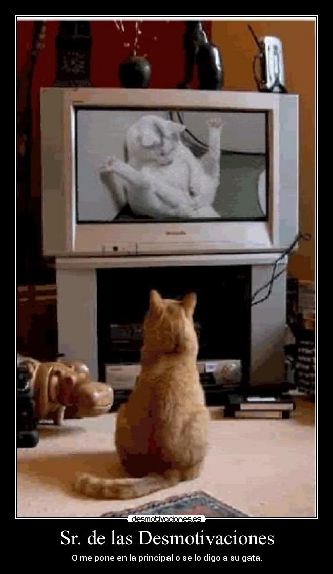 Sr. de las Desmotivaciones -