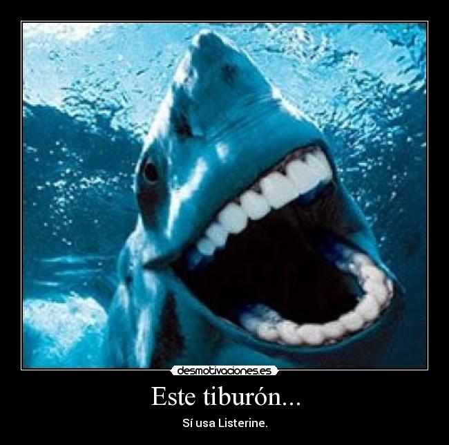 Este tiburón... - Sí usa Listerine.