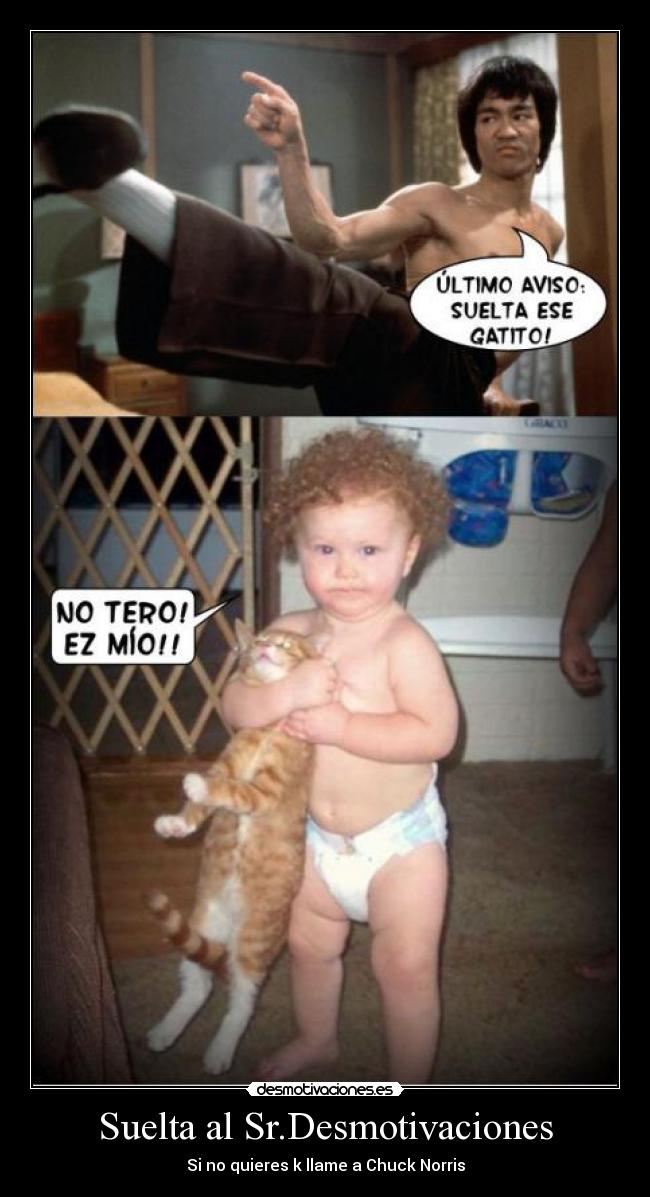 Suelta al Sr.Desmotivaciones - Si no quieres k llame a Chuck Norris