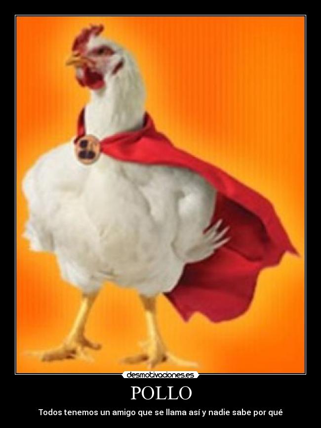 POLLO - 