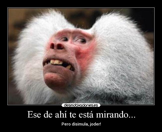 Ese de ahí te está mirando... - 