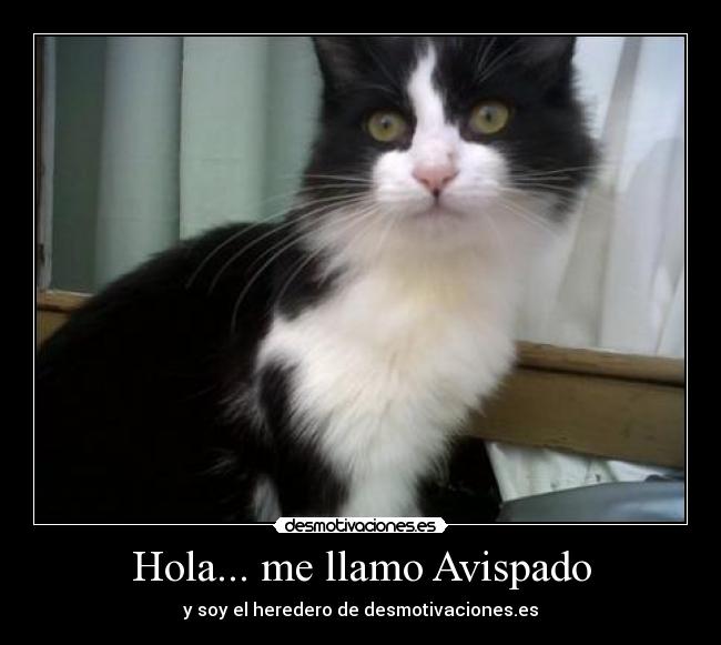 Hola... me llamo Avispado - 