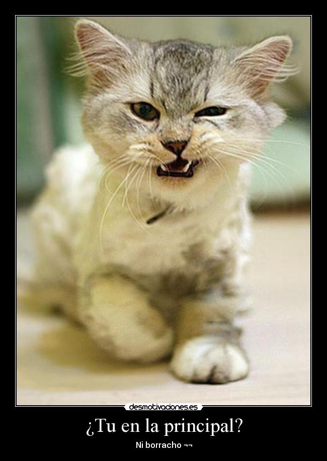 ¿Tu en la principal? -