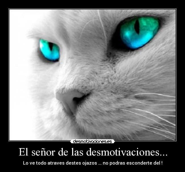 El señor de las desmotivaciones... - Lo ve todo atraves destes ojazos ... no podras esconderte del !