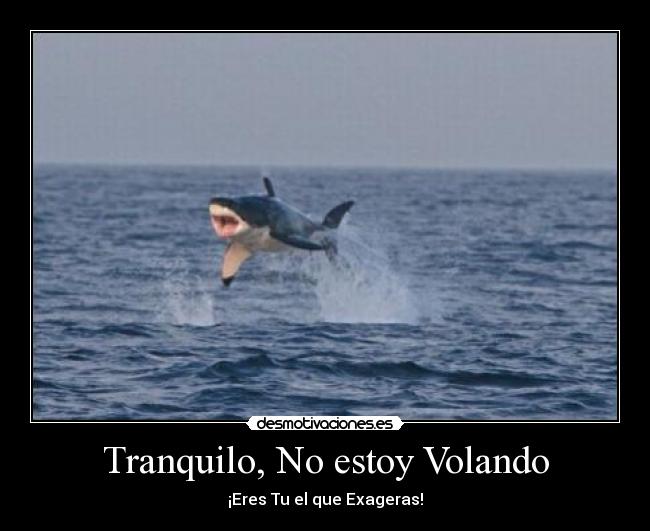 Tranquilo, No estoy Volando - 
