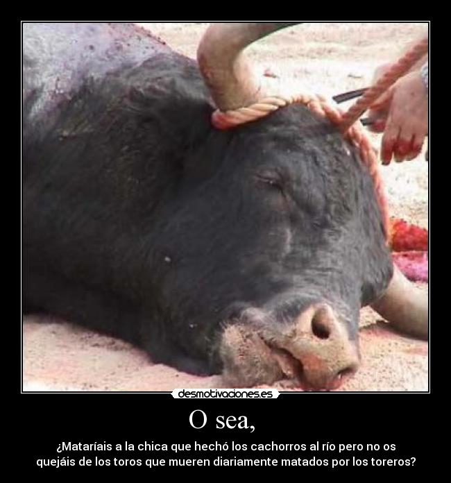 O sea,  - ¿Mataríais a la chica que hechó los cachorros al río pero no os
quejáis de los toros que mueren diariamente matados por los toreros?