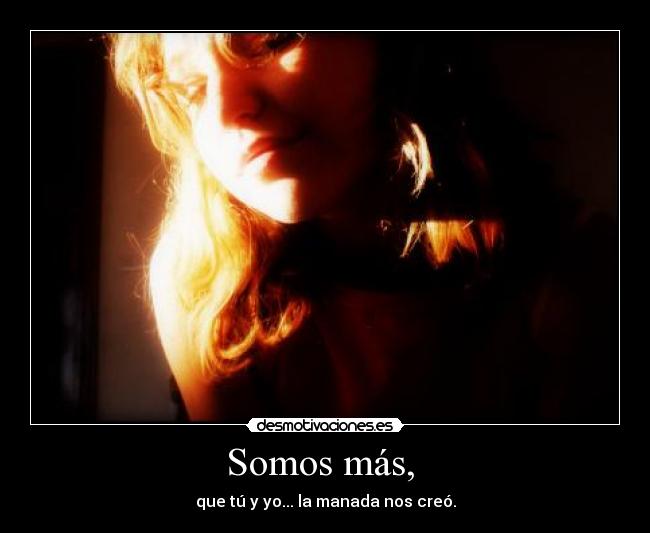 carteles rey leon somos clan desmotivaciones