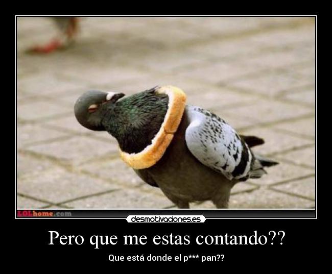 Pero que me estas contando?? - 