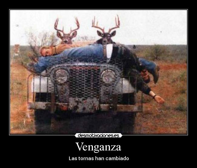 Venganza - 