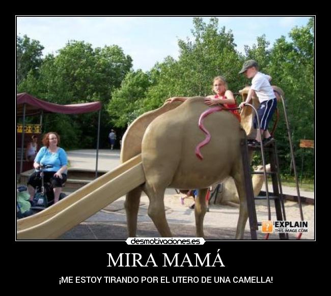 MIRA MAMÁ - ¡ME ESTOY TIRANDO POR EL UTERO DE UNA CAMELLA!