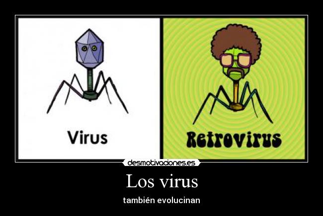 Los virus - 