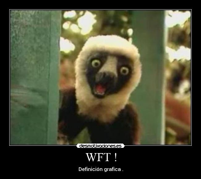 WFT ! - Definición grafica .