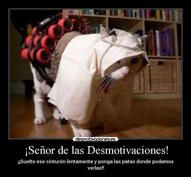 ¡Señor de las Desmotivaciones! - ¡¡Suelte ese cinturón lentamente y ponga las patas donde podamos verlas!!