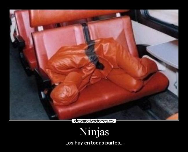 Ninjas - 