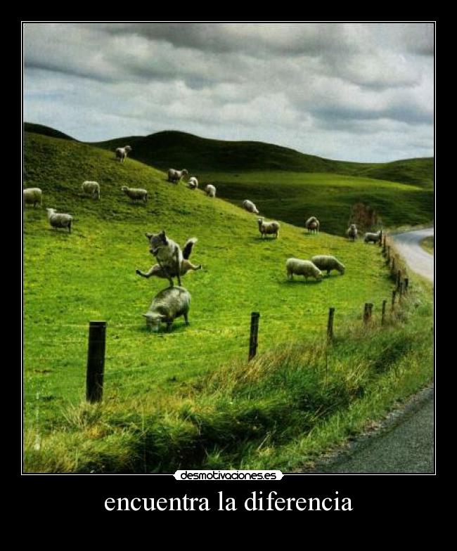 encuentra la diferencia - 