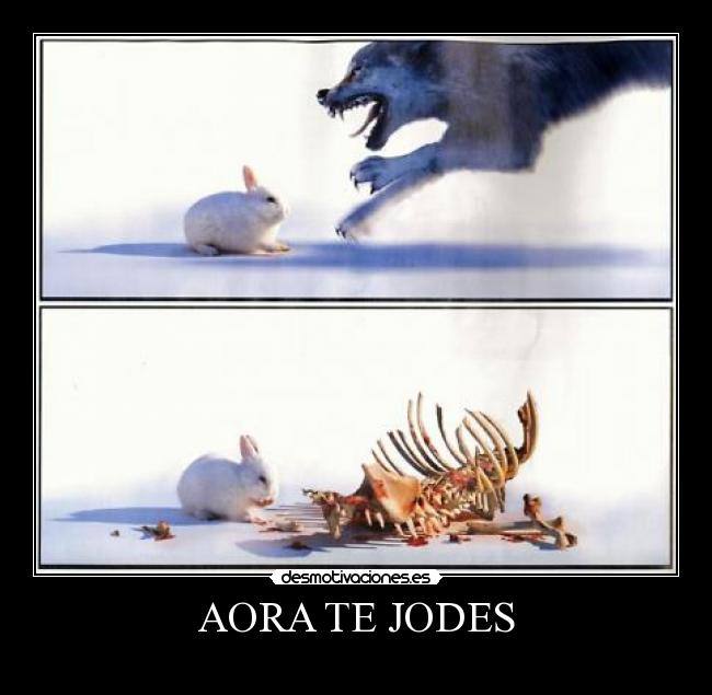 AORA TE JODES - 
