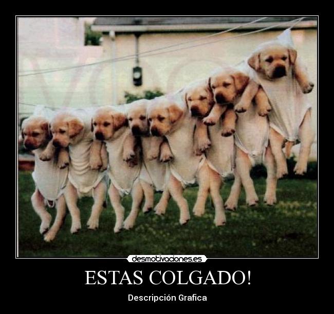 ESTAS COLGADO! - Descripción Grafica