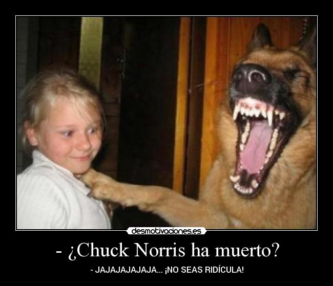 - ¿Chuck Norris ha muerto? - 
