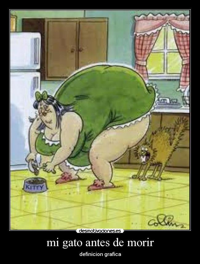 mi gato antes de morir - definicion grafica