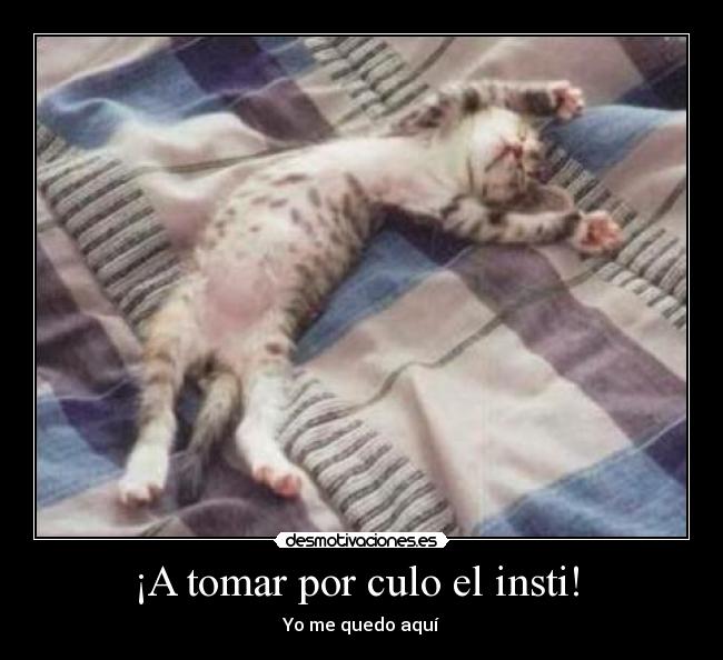 ¡A tomar por culo el insti!  - Yo me quedo aquí