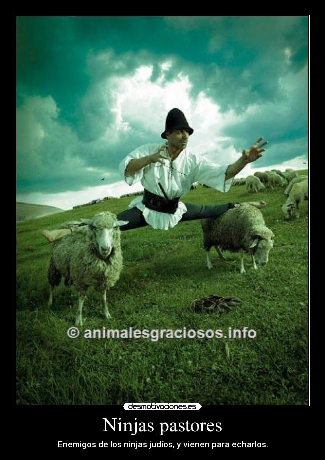 Ninjas pastores - Enemigos de los ninjas judíos, y vienen para echarlos.