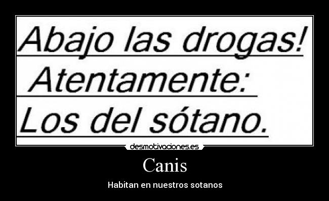 Imágenes y Carteles de SOTANO | Desmotivaciones