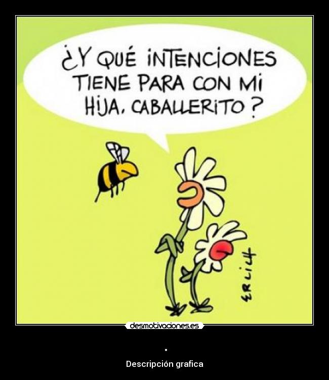 . - Descripción grafica