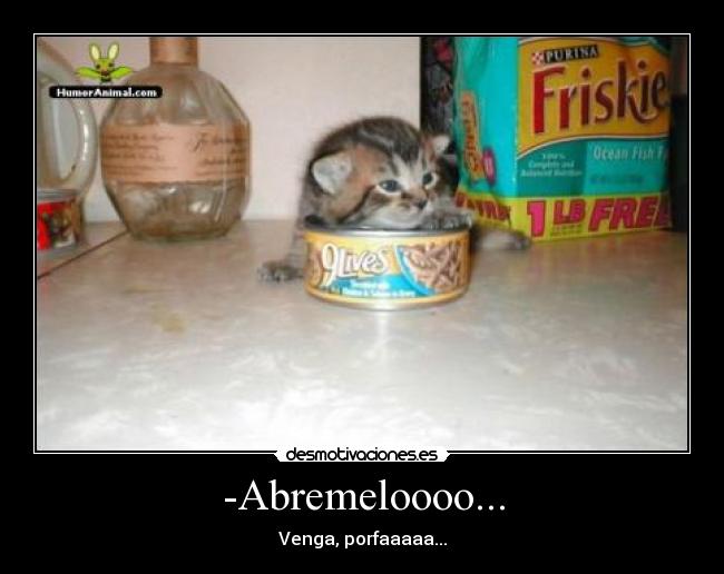-Abremeloooo... - Venga, porfaaaaa...