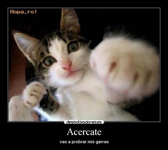 Acercate - vas a probrar mis garras