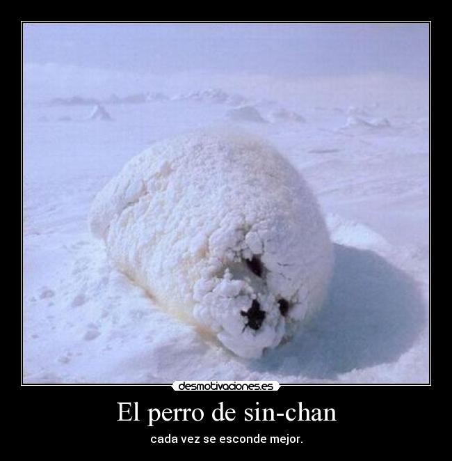 El perro de sin-chan - 