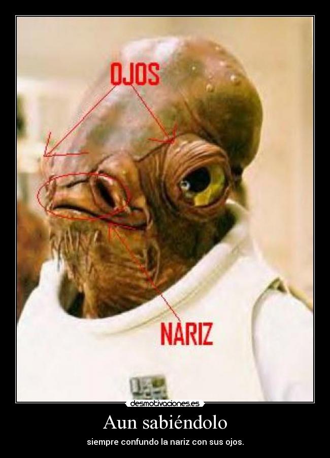 Aun sabiéndolo - siempre confundo la nariz con sus ojos.