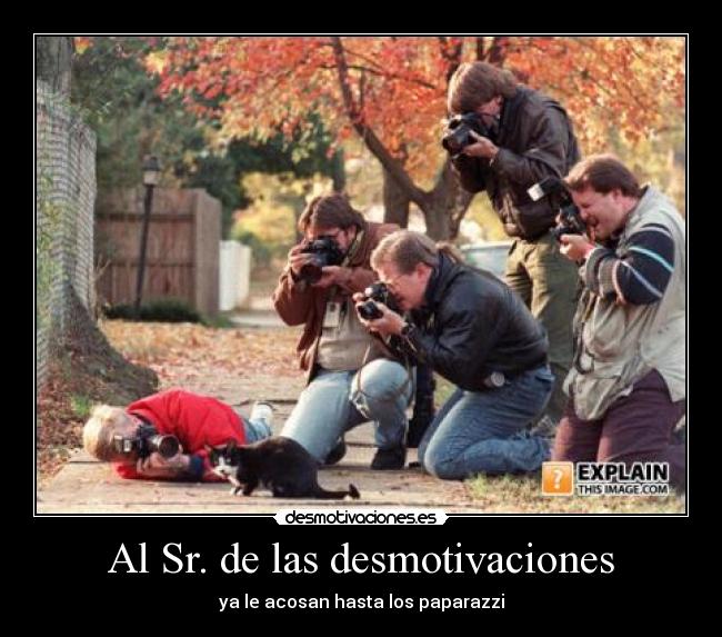 Al Sr. de las desmotivaciones - 