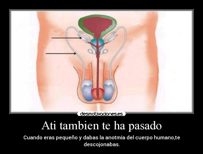 Ati tambien te ha pasado -