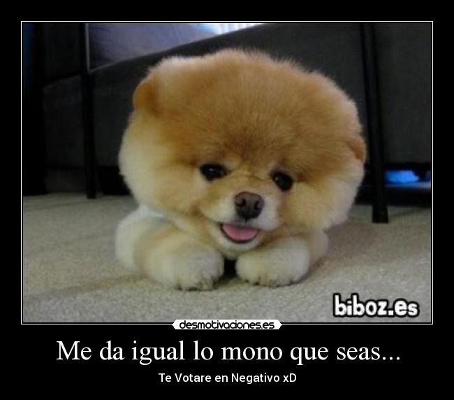 Me da igual lo mono que seas... - Te Votare en Negativo xD