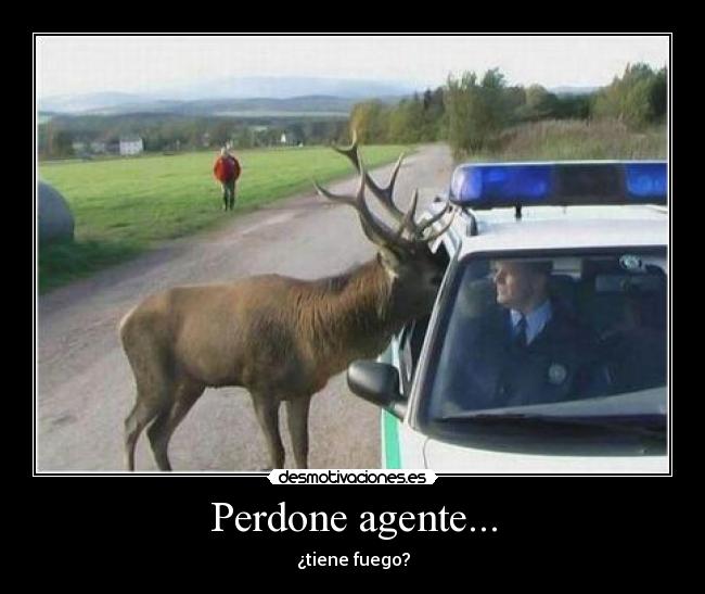 Perdone agente... - 