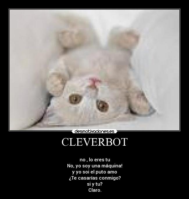 CLEVERBOT - 