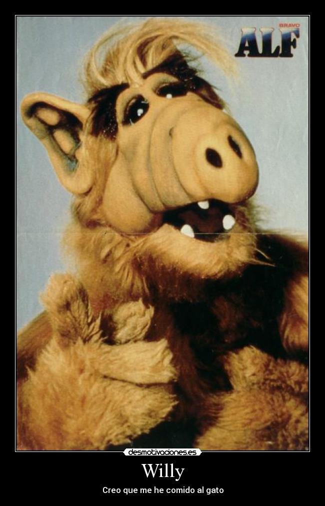 Willy -