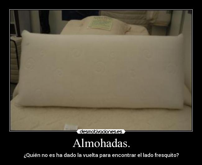 Almohadas. - 