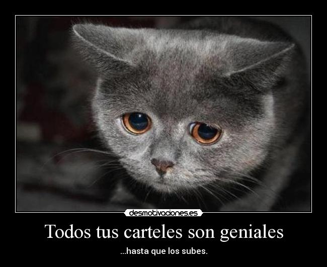 Todos tus carteles son geniales -